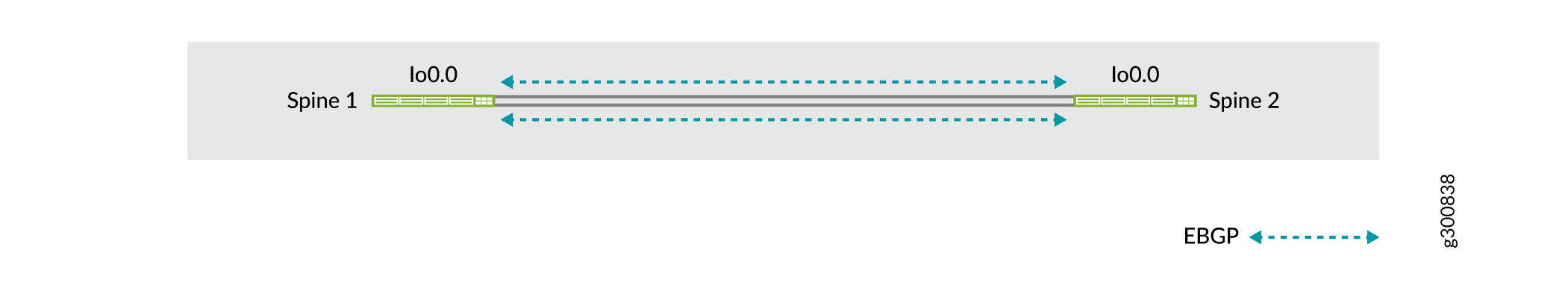 Spine Underlay Topology