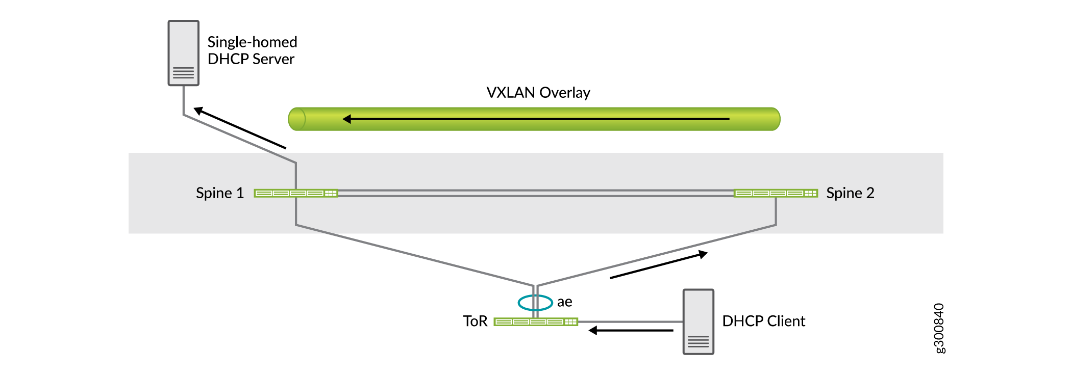 Data Plane Overlay Topology