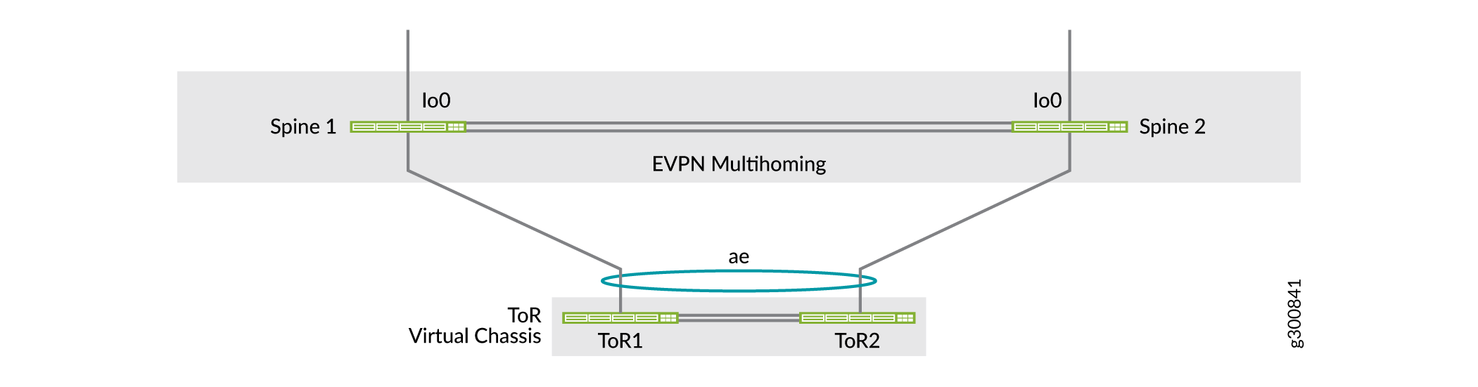 ToR Switch Topology