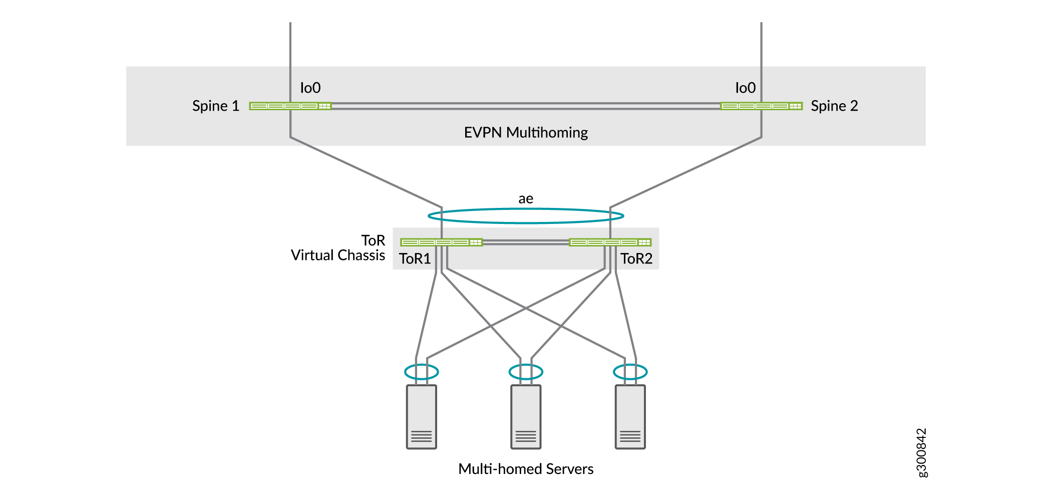 ToR Topology With Multihomed Servers