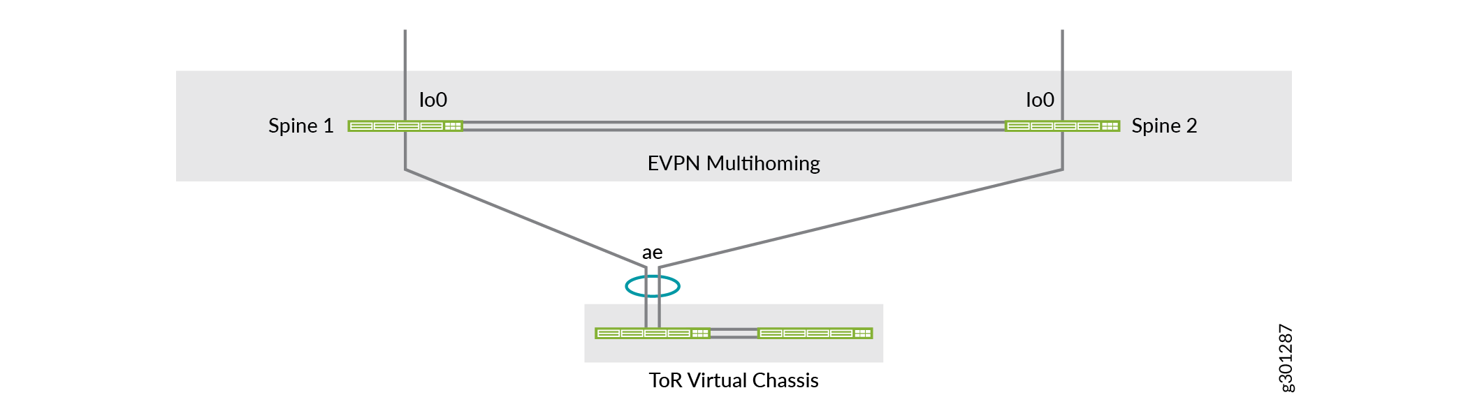 ToR Switch EVPN Multihoming Topology in this Network Configuration Example