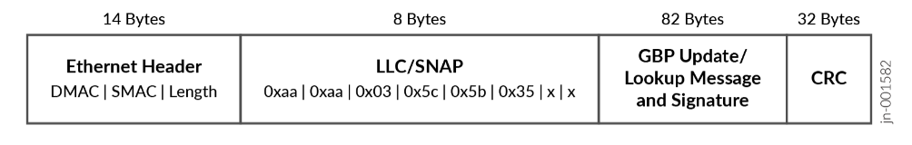 ZTIS LLC Packet Format