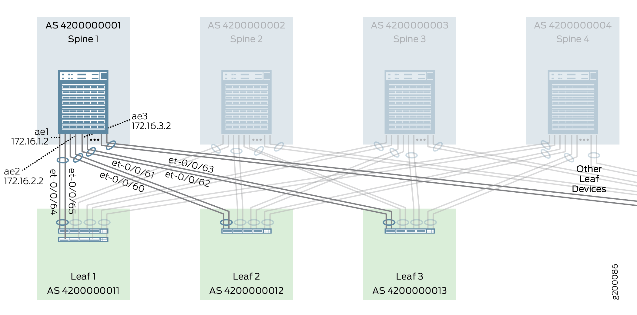 Spine 1 Interfaces