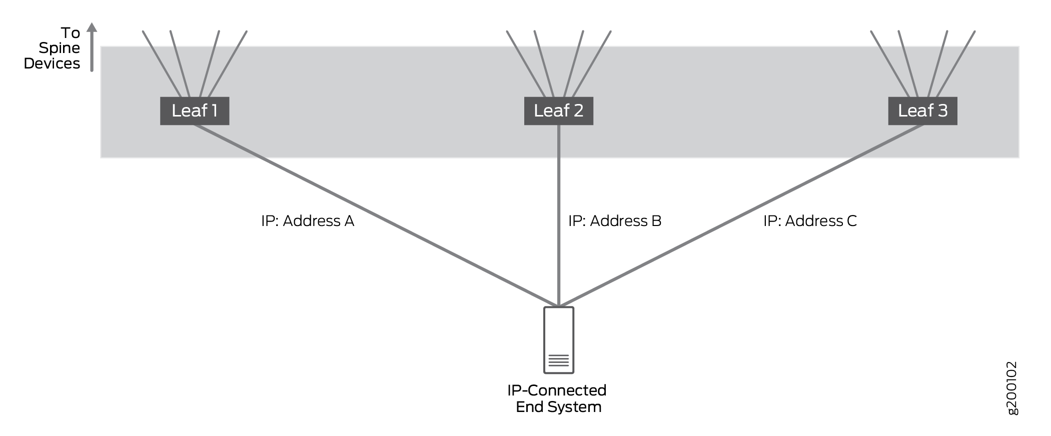 IP-Connected End System Multihoming