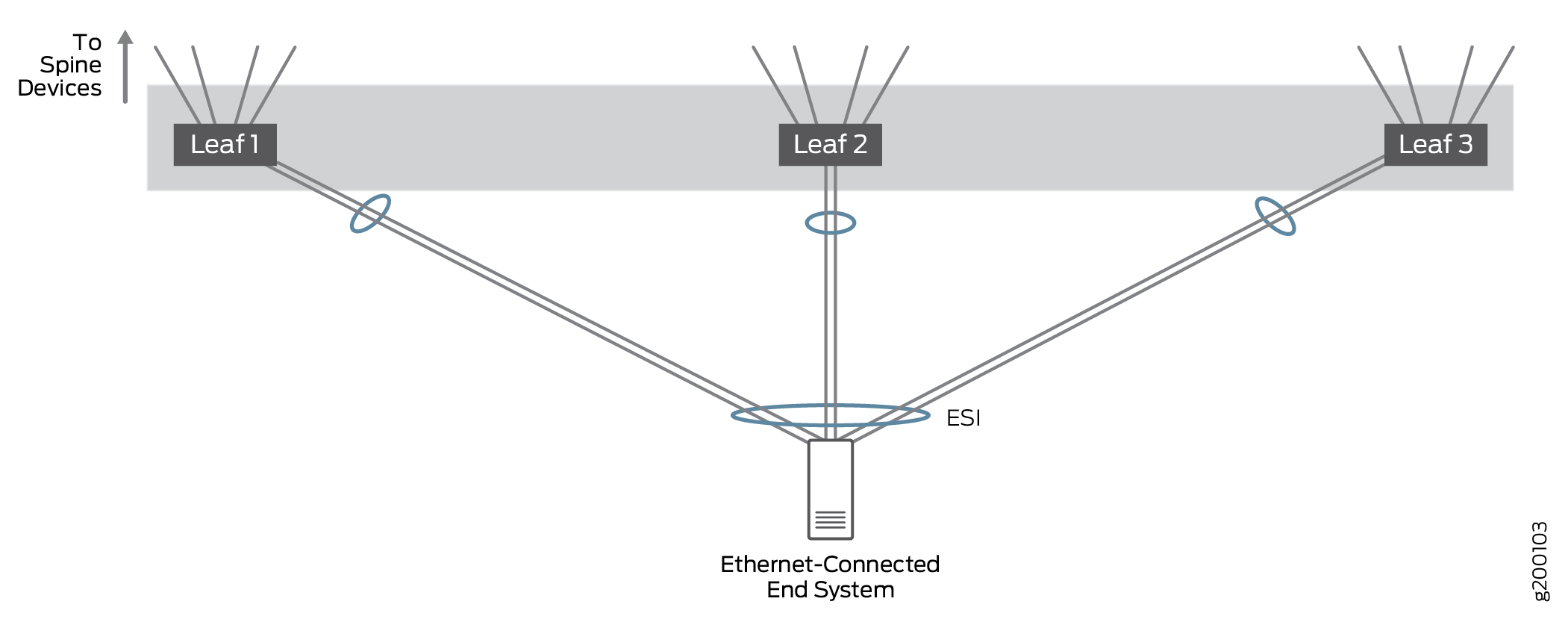 Ethernet-Connected End System Multihoming