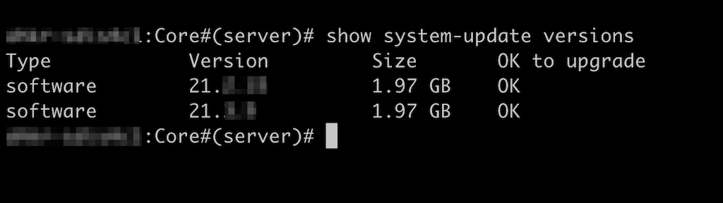 Command-line interface showing two software updates with version numbers 21.x and size 1.97 GB each marked OK to upgrade.