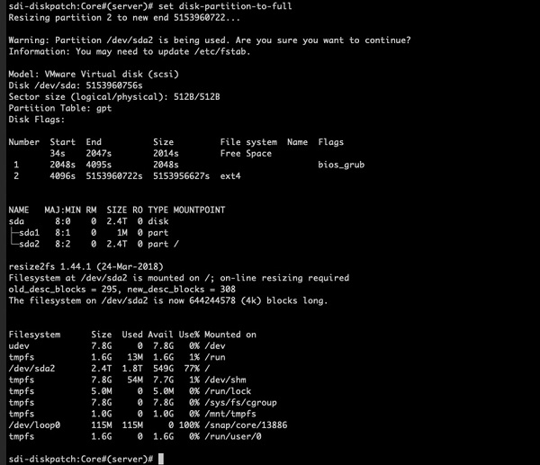 Terminal output showing Linux disk partitioning and resizing. Partition 2 on /dev/sda2 resized to 5153960722 blocks. Warning: /dev/sda2 in use. Disk: VMware Virtual, 2.4 TB, GPT. Partition 1: bios_grub. Partition 2: ext4, mounted on root. Resizing with resize2fs.