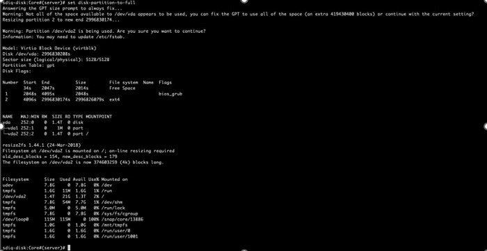 Terminal screen showing Linux disk partitioning and filesystem management commands, including sgdisk resizing warning, lsblk disk layout, resize2fs on ext4 filesystem, and df -h mounted filesystems.