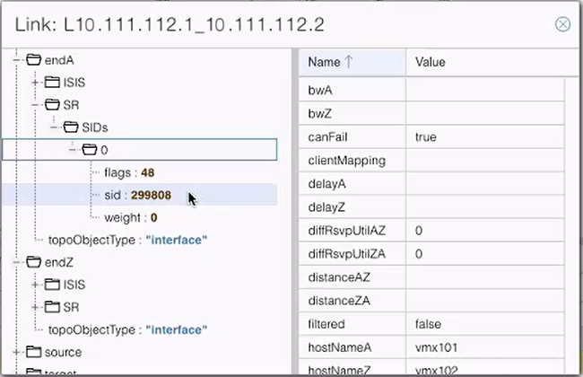 Network management interface showing detailed link attributes and properties including bandwidth, delay, and host names for SDN analysis.