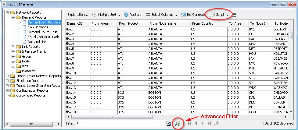 Report Manager interface displaying network report categories and a table with demand data. Features include a script button for report management and an advanced filter for data analysis.