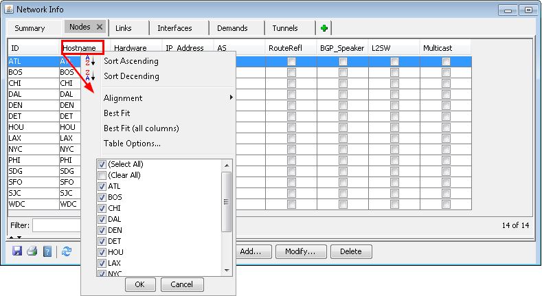 Graphical user interface of a network tool titled Network Info with active Nodes tab listing network nodes and attributes.