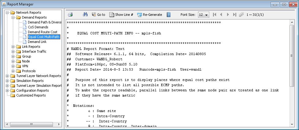 Report Manager Window - Text View