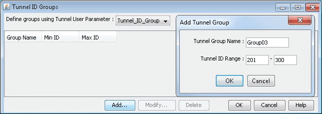 Adding a Tunnel ID Group