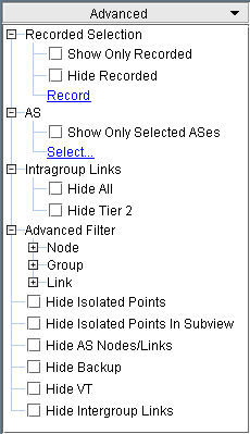 Advanced settings menu for network analysis software with options to filter recorded data, select Autonomous Systems, manage intragroup links, and apply advanced filters for nodes, groups, and links.