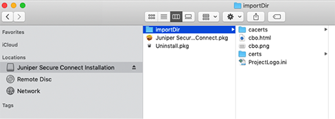 Copy ImportDir Folder To Mount Drive