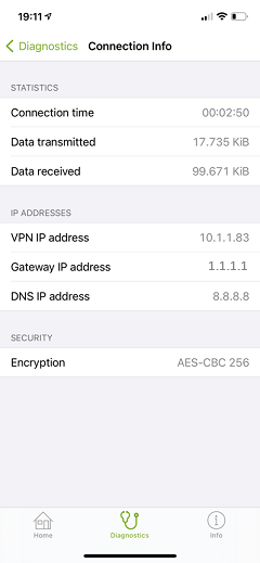 Current VPN Connection Information