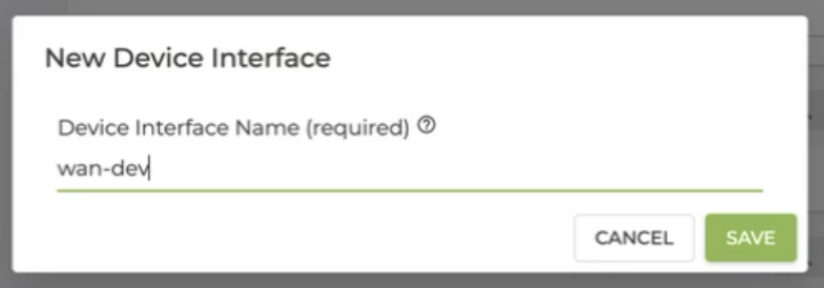 Name the WAN Interface