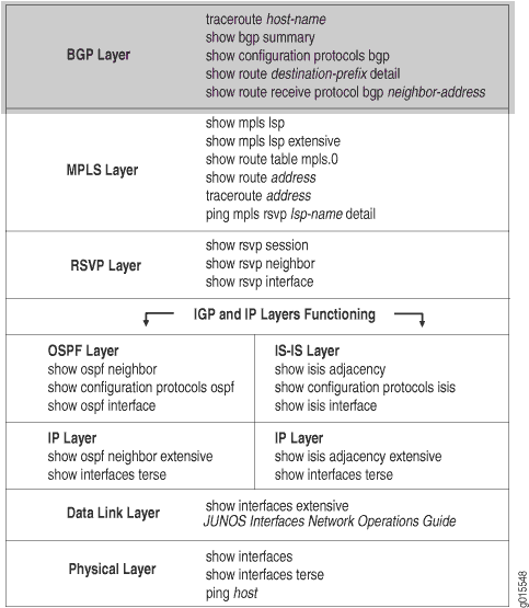 Checking the BGP Layer