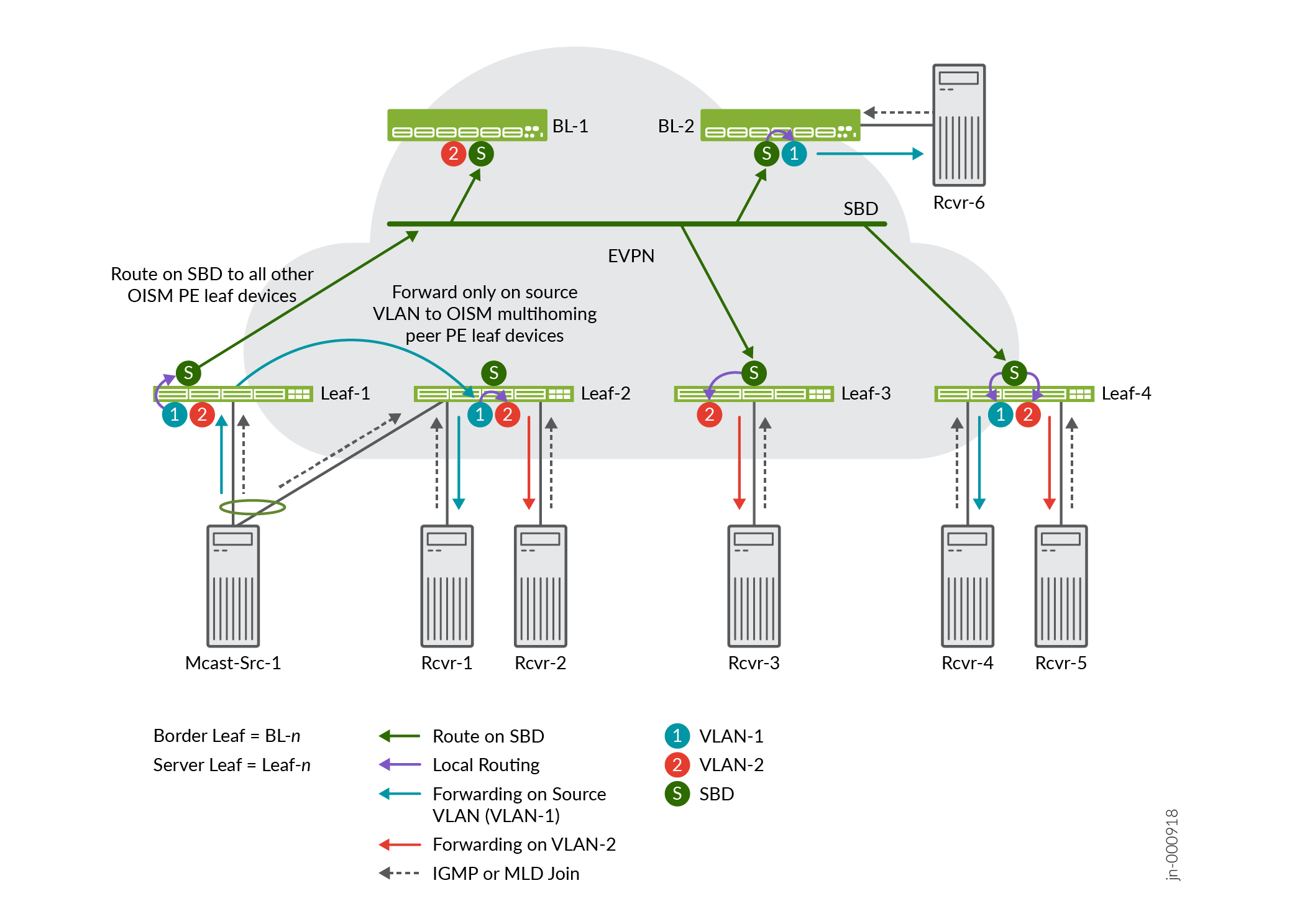 Network topology showing EVPN with multicast routing: Border Leaf BL-n devices route multicast; Server Leaf Leaf-n connects sources/receivers; VLAN-1 and VLAN-2 traffic shown with arrows.