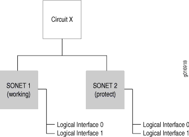 APS Interface