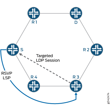 Manually Configured RSVP LSP Coverage