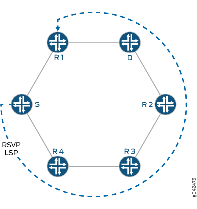 Dynamically Configured RSVP LSP Coverage