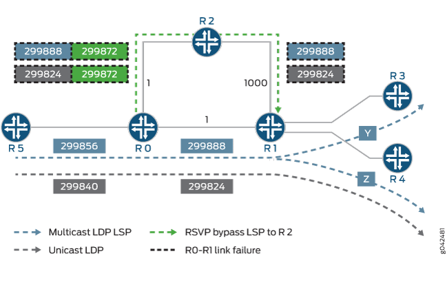 LDP Link Protection Label Operation