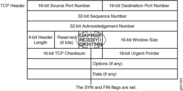 TCP Header with SYN and FIN Flags Set